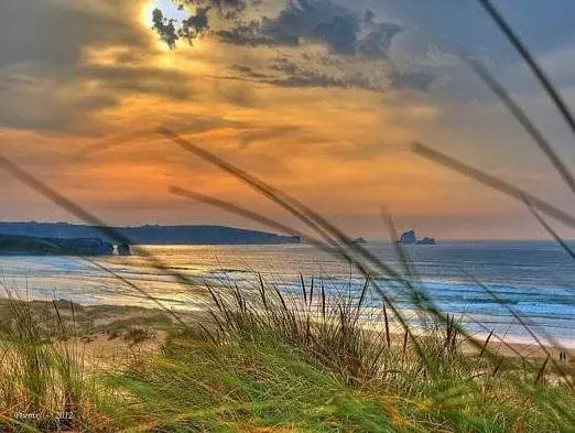 Beach & Waterfront