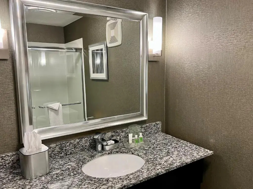 Holiday Inn Carlsbad by IHG - Chambres