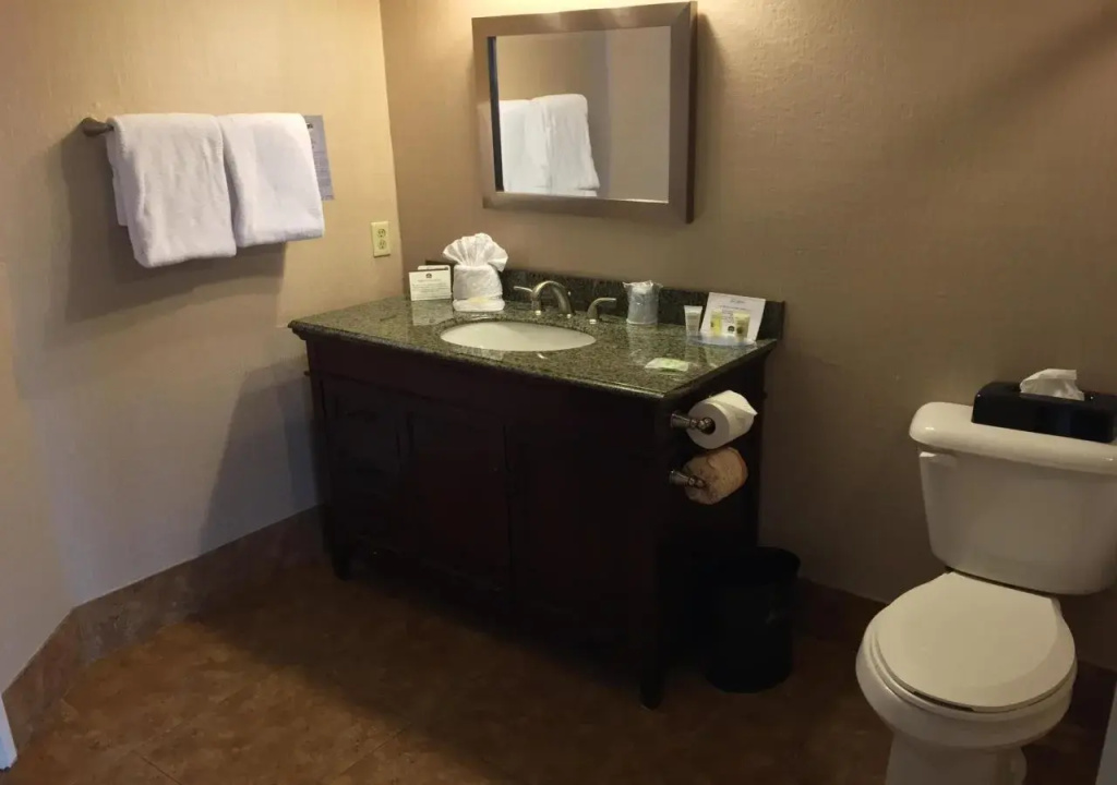 Hotel d’Lins Ontario Airport - Général