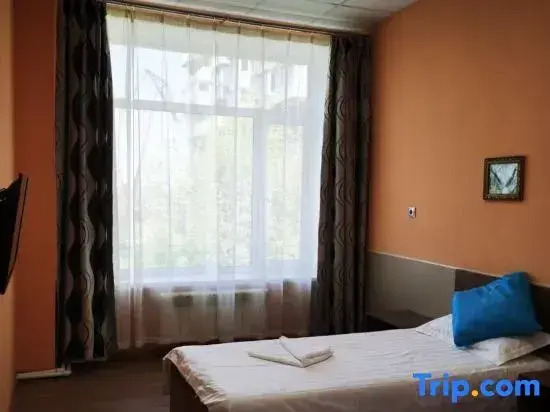 Одноместный номер Comfort в Восток