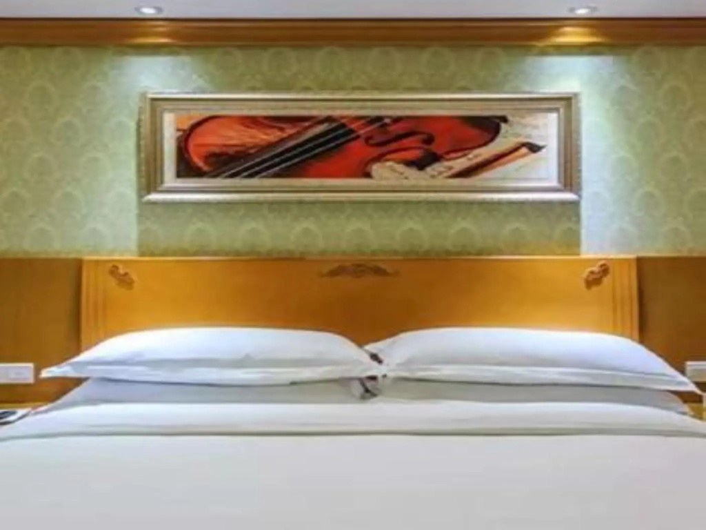 Vienna Hotel Wuhan International Conference and Exhibition Center Branch - Chambres