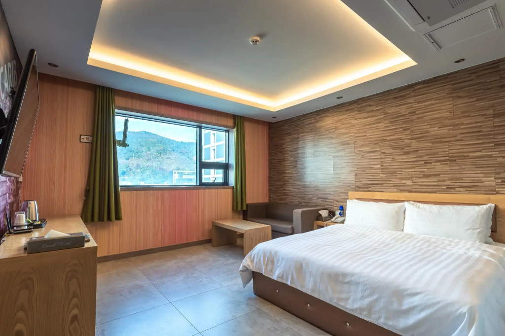 Standard Double room with mountain view (full double bed)