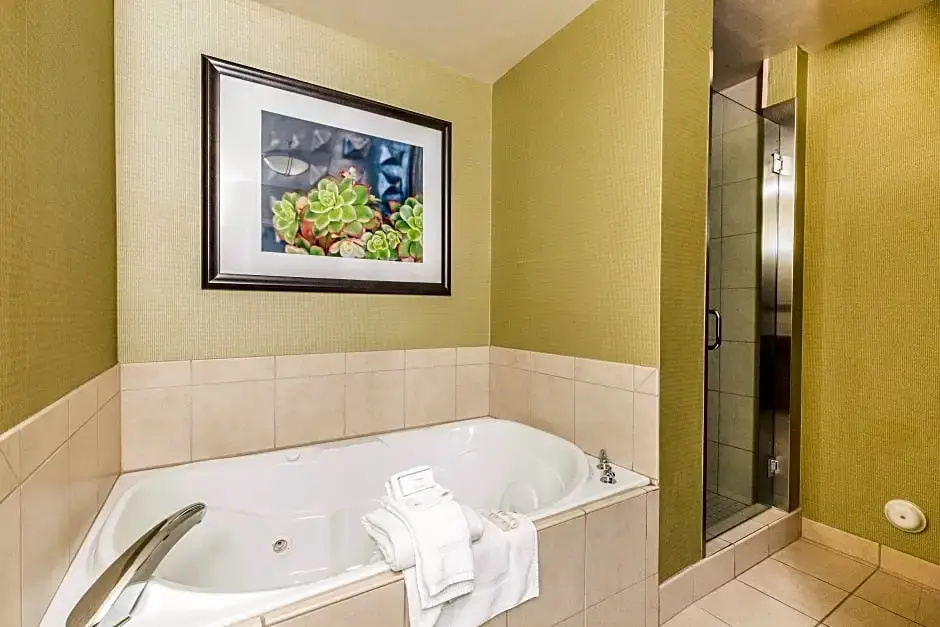 Hilton Garden Inn St. George - Chambres