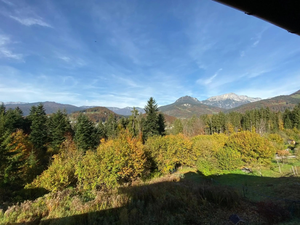 FeWo Waldkauz