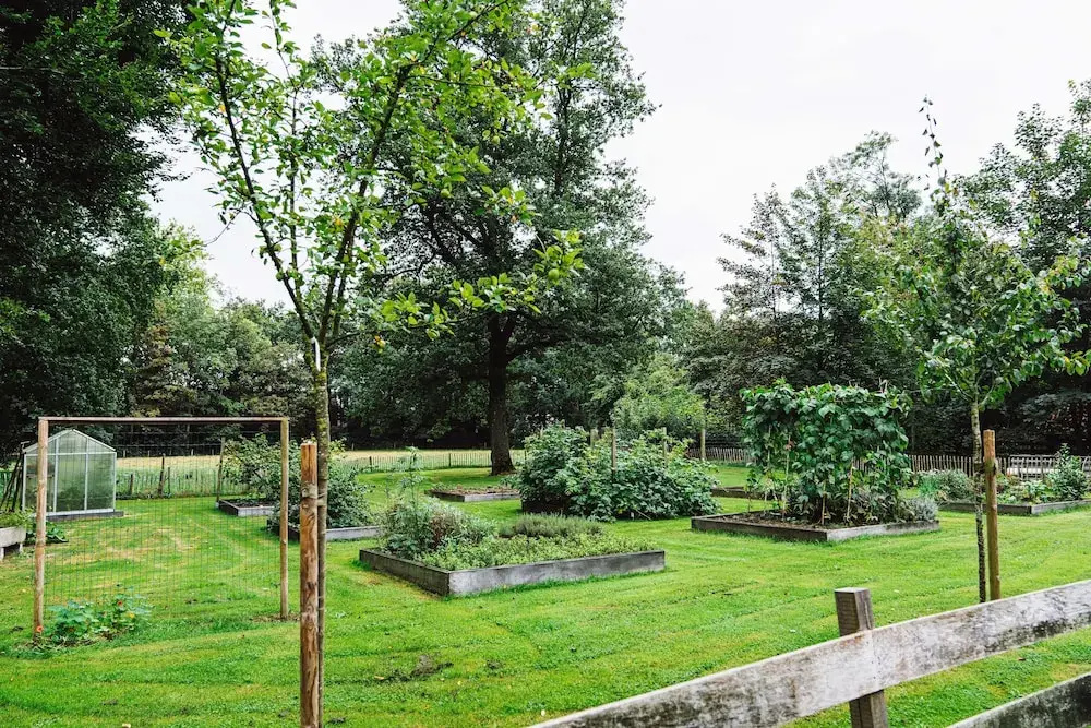 Hotel en Restaurant Wesseling - Général