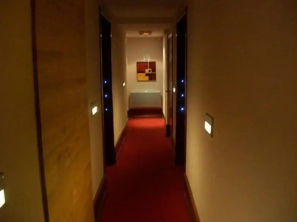 Hotel le Falken - Général
