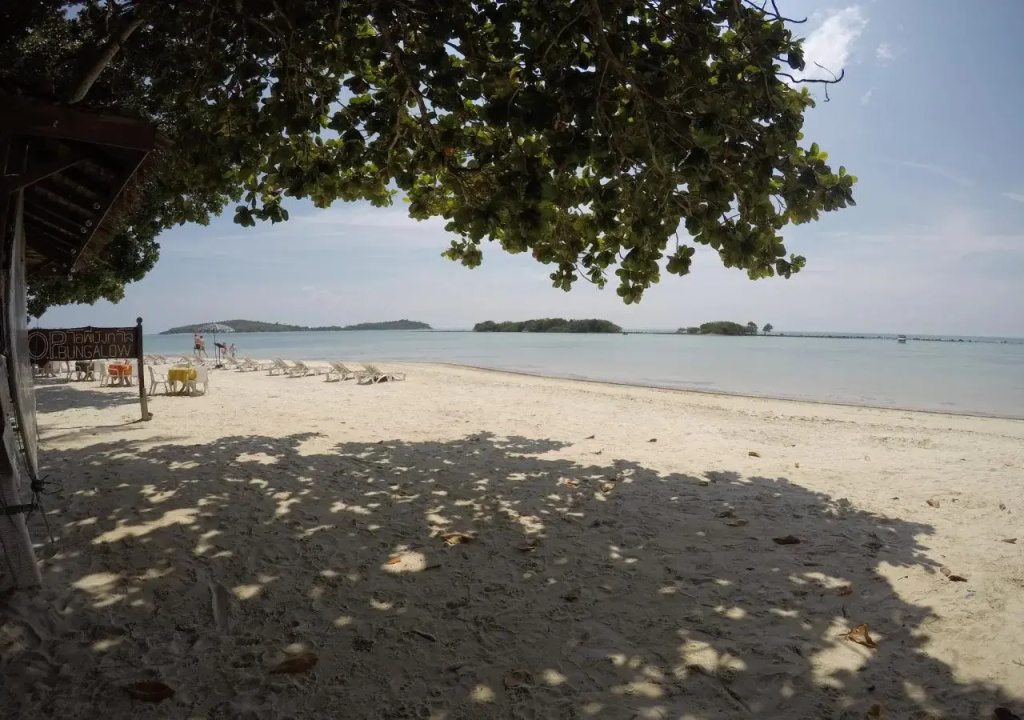 Beach & Waterfront