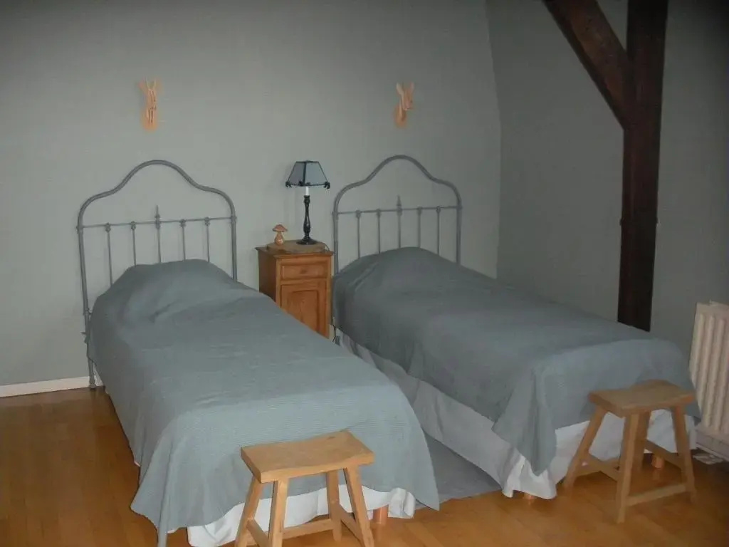 Standard Double room (twin beds)