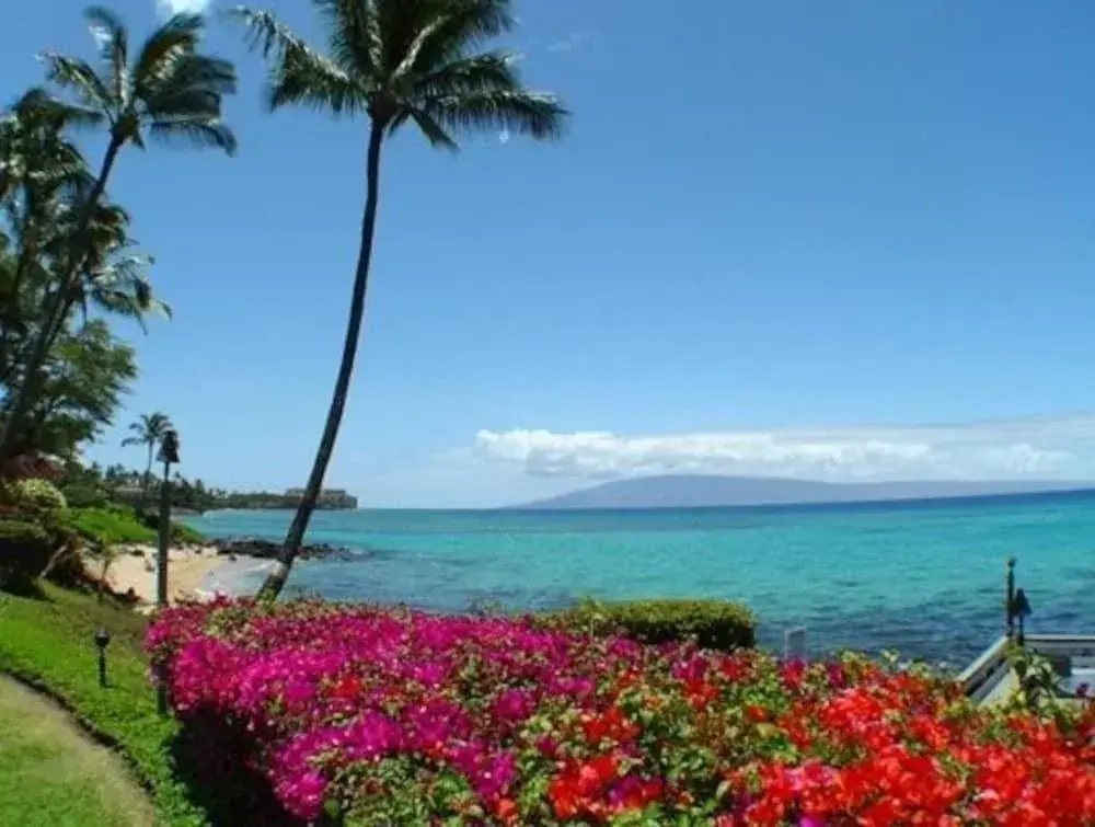 Polynesian Shores - Général