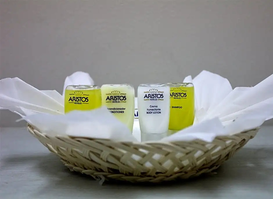 Hotel Aristos Puebla - Chambres