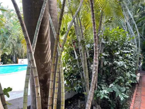 Hotel photo 27