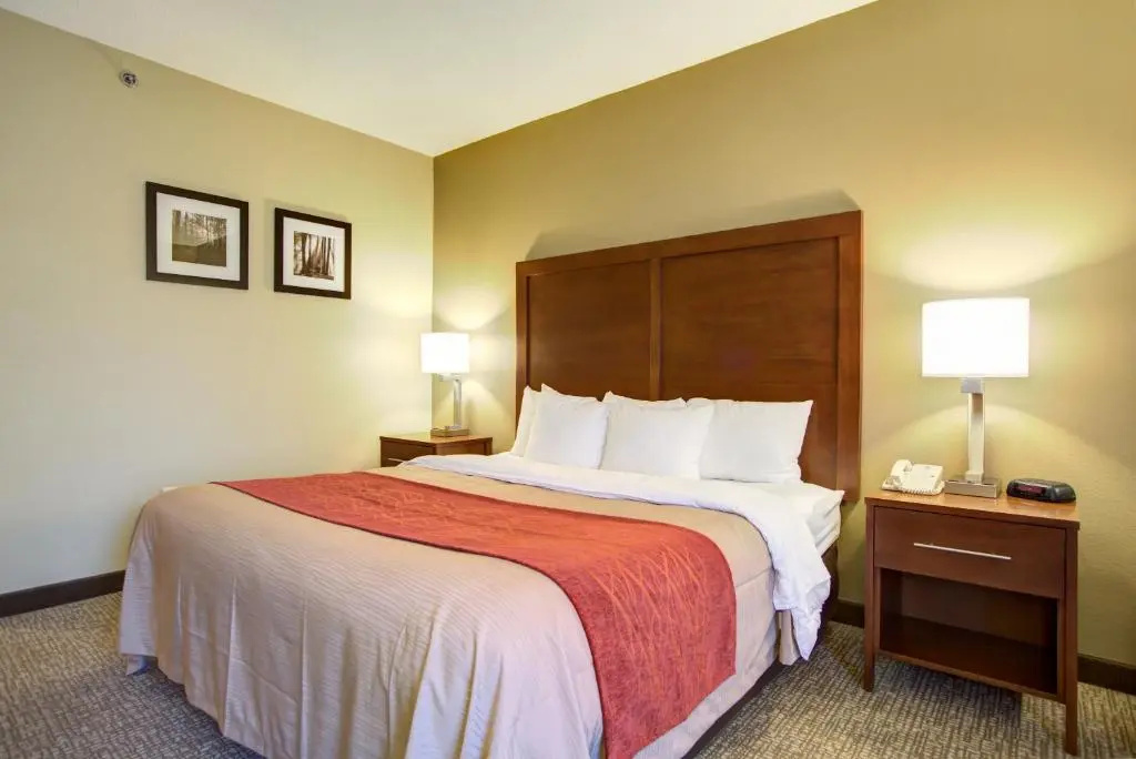 Comfort Inn Blythewood - North Columbia - Chambres