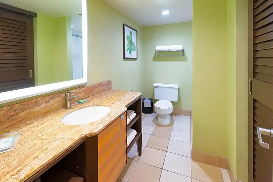 Holiday Inn San Jose - Silicon Valley by IHG - Chambres