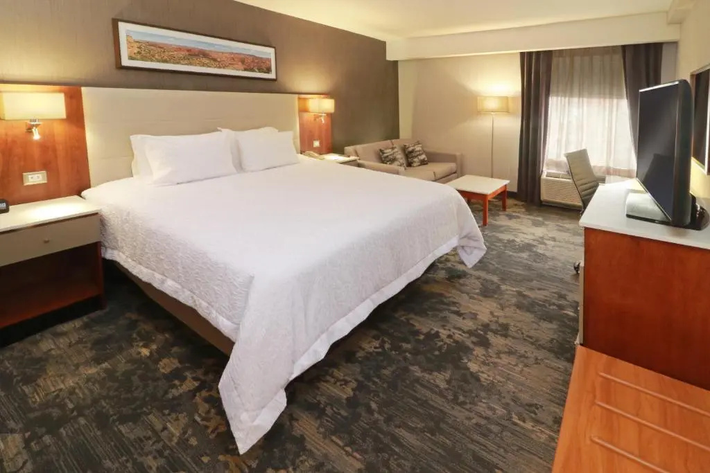 Hampton by Hilton Chihuahua - Chambres