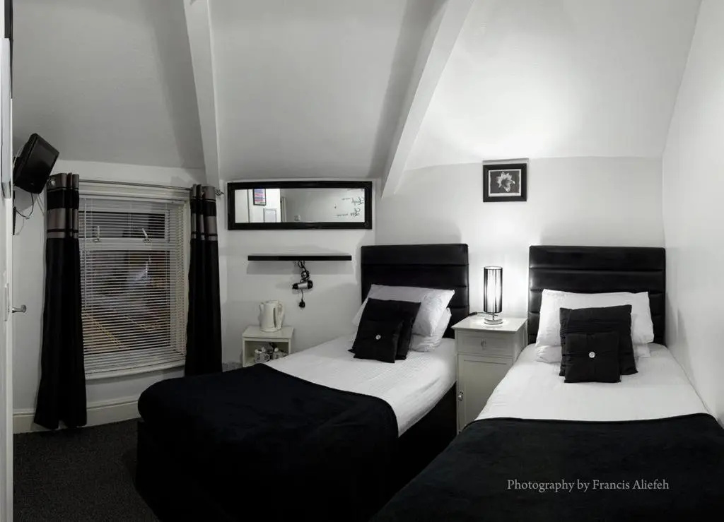 Standard Double room (twin beds)