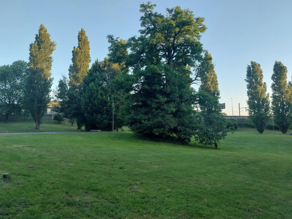 Apartamento vieiro