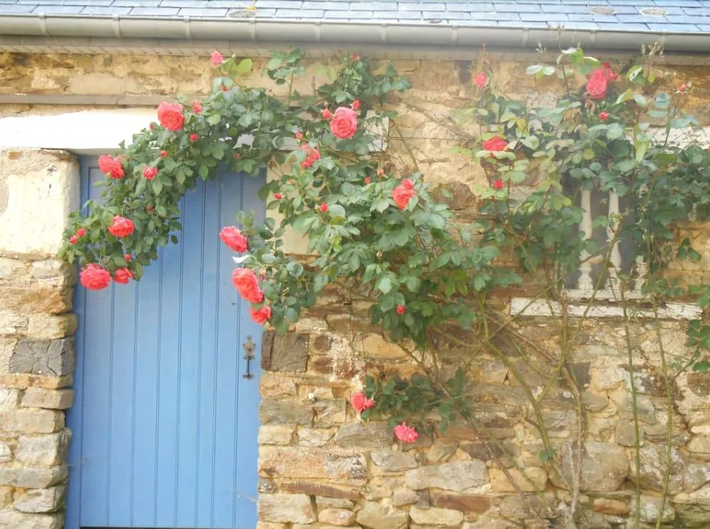 Au Presbytère de Dagmar - Général