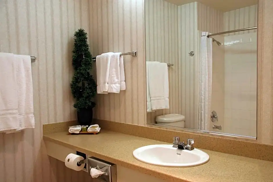 Holiday Inn Selma - Swancourt by IHG - Chambres