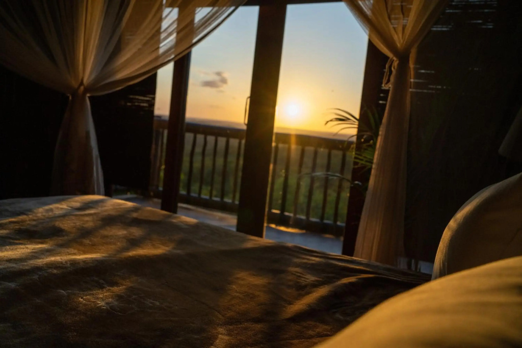 Elephant Game Lodge