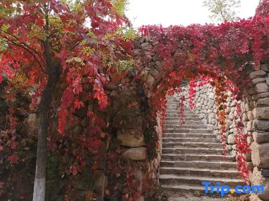 Aolunda Yuanxiang Homestay