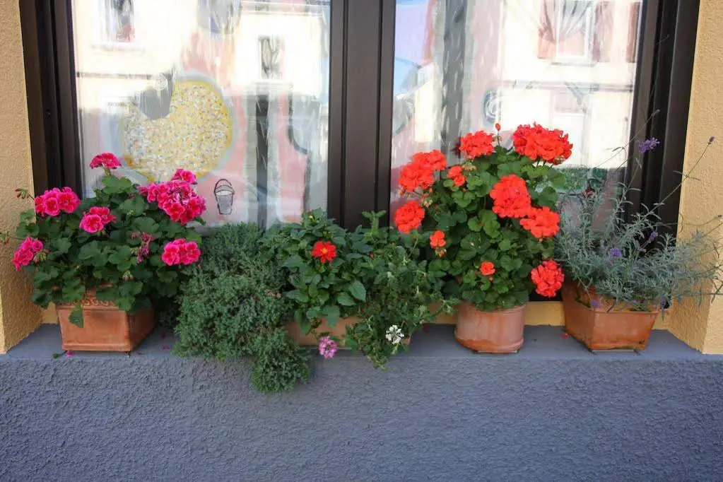 Image 28