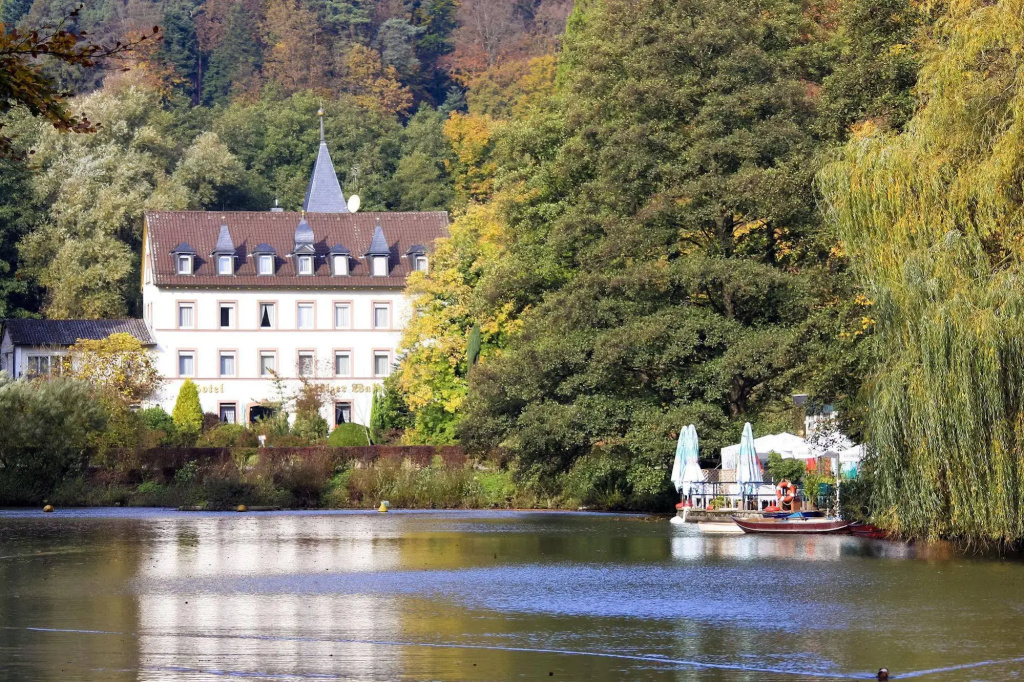 Hotel Pfälzer Wald - Général