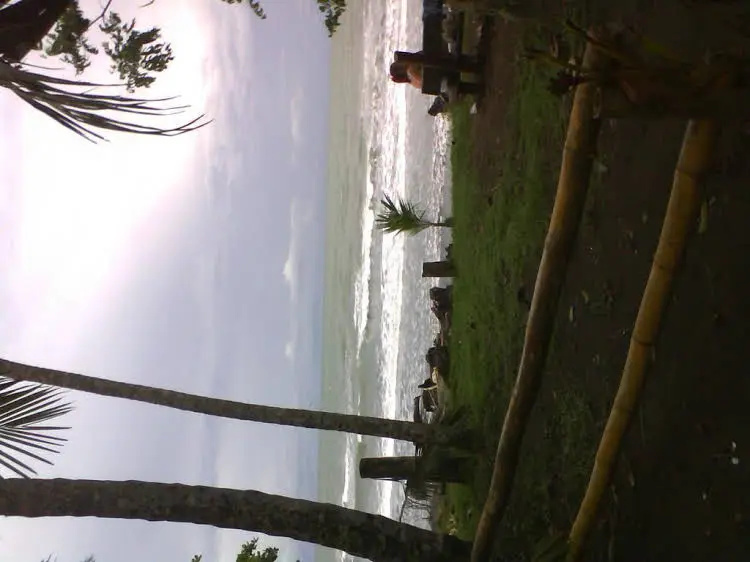 images