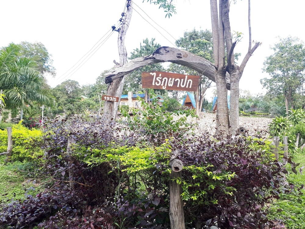 Rai Phuphapok — 5