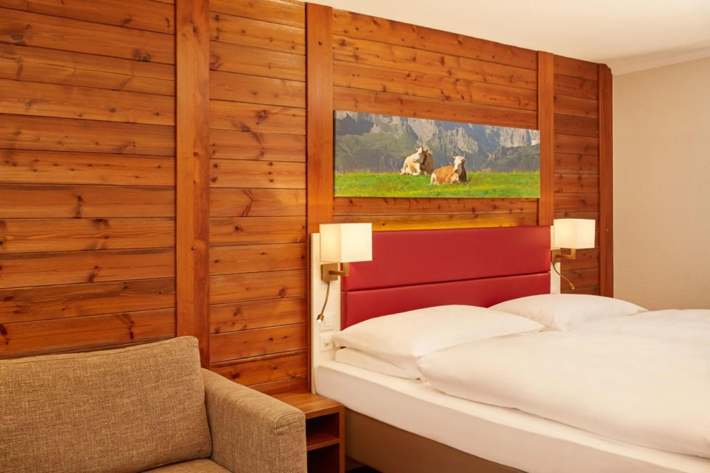 H+ Hotel & SPA Engelberg - Général