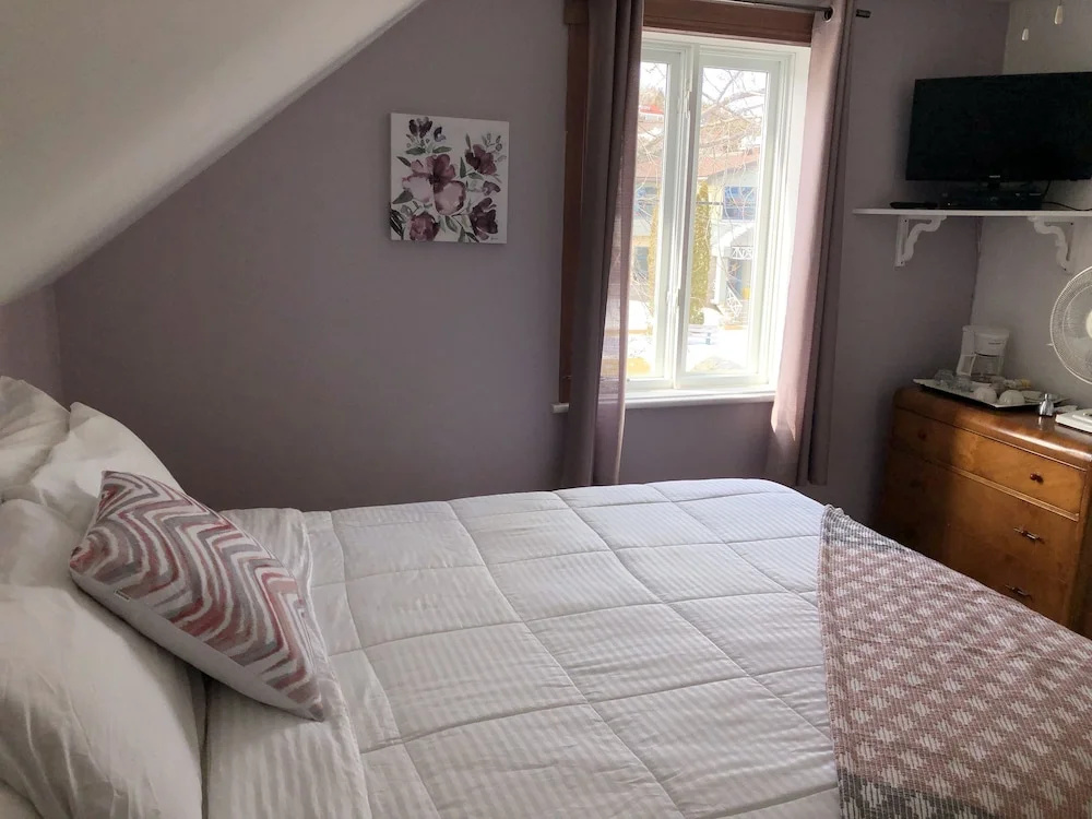 Standard Double room with city view (full double bed)