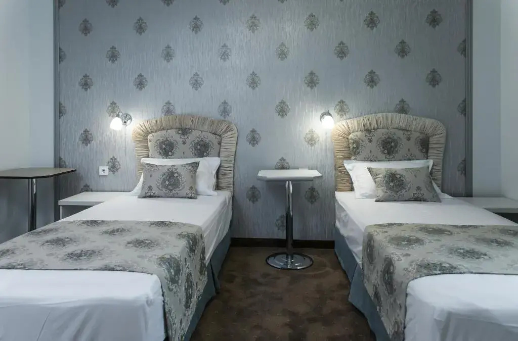 Standard Double room with balcony (twin beds)