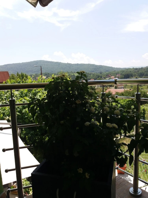 Hotel photo 37