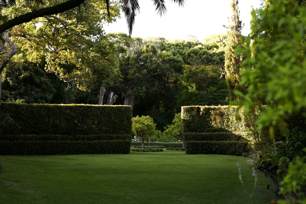 Hotel photo 50