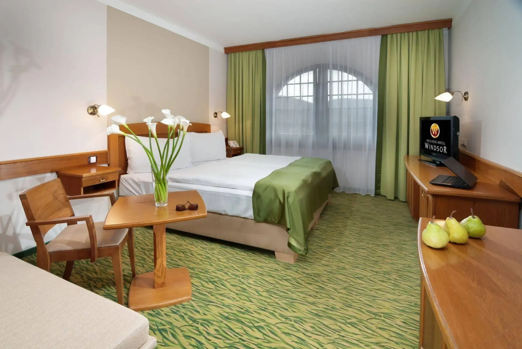 Wellness Hotel Windsor - Général