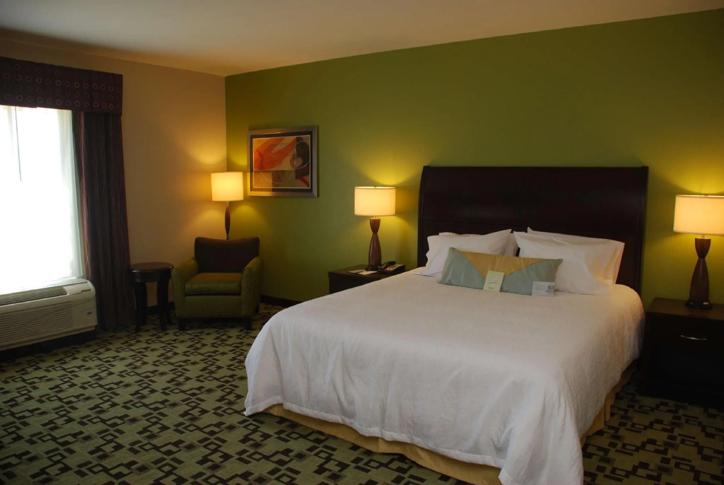 Hilton Garden Inn Birmingham/Trussville - Chambres