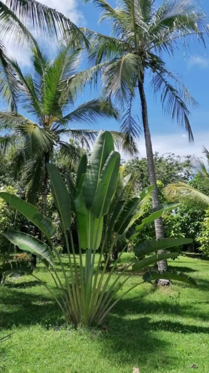 Ciamat Camp