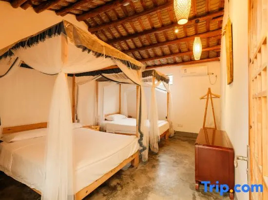 Comfort Suite