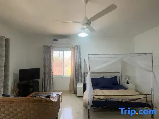 Standard Double room with ocean view (full double bed)