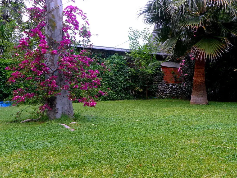 Arya Holiday Houses - фото 10