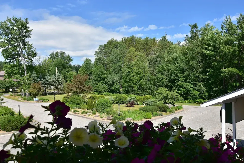Wilson Lake Inn - Chambres