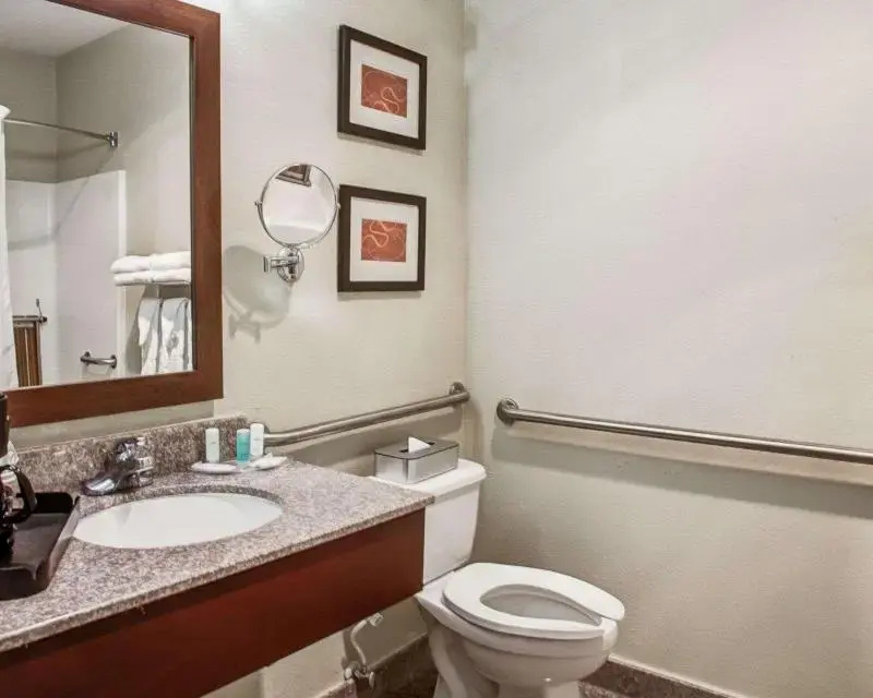 Comfort Suites Lombard - Addison - Chambres