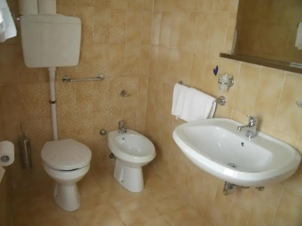 Standard Double room with mountain view (full double bed)