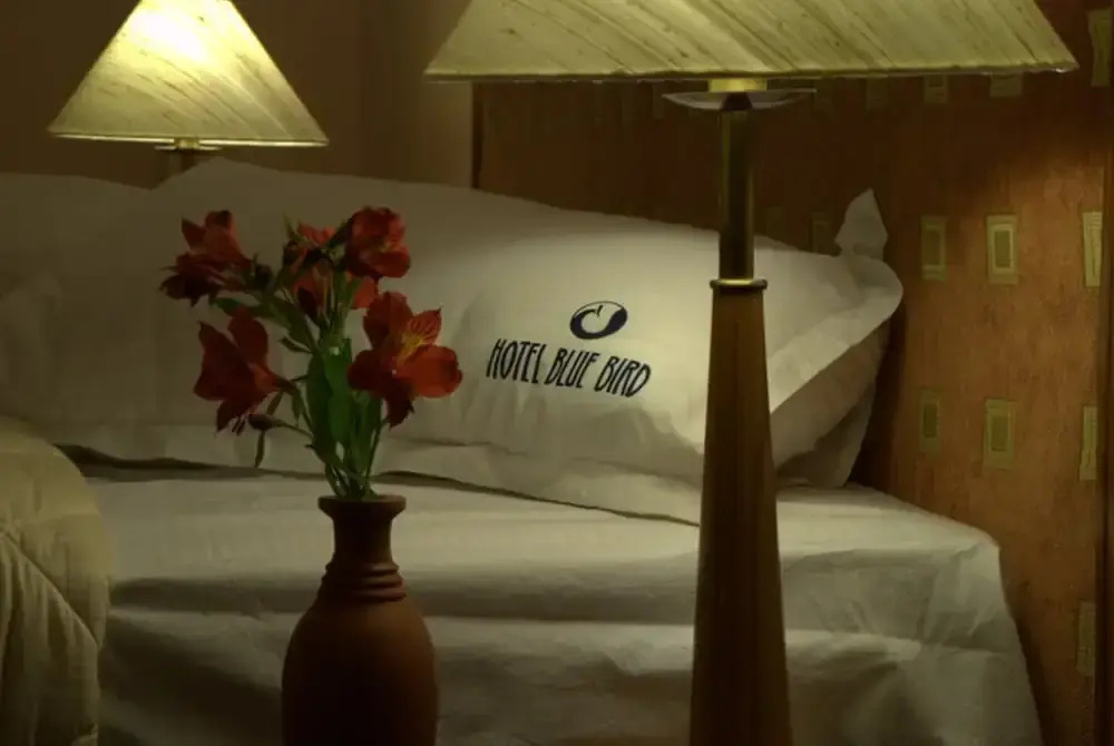 Hotel Blue Bird - Chambres