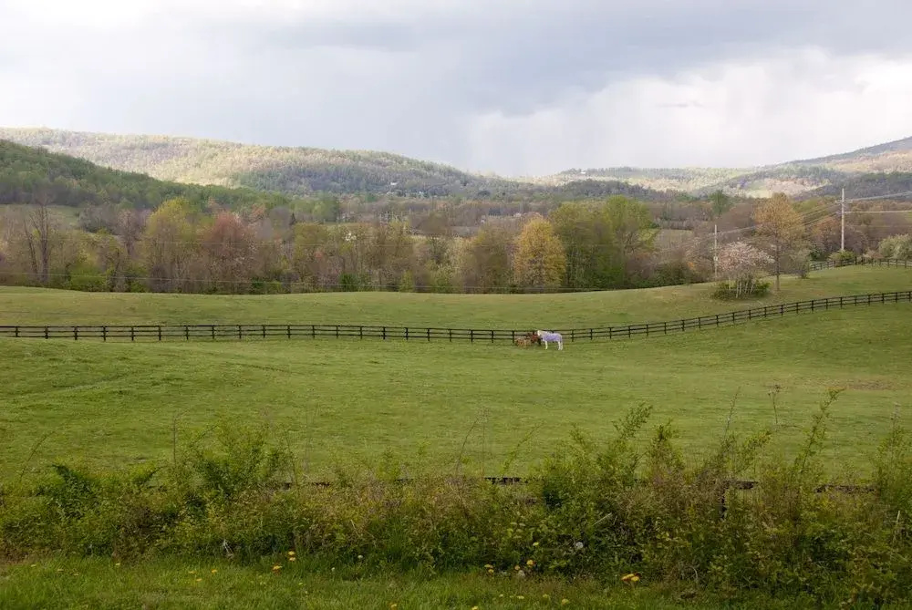 Glen Gordon Manor
