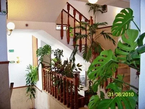 Balcony & Terrace