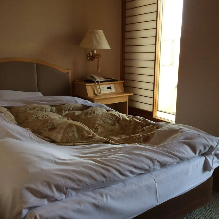 Hotel Aburaya-Ryokan - Général