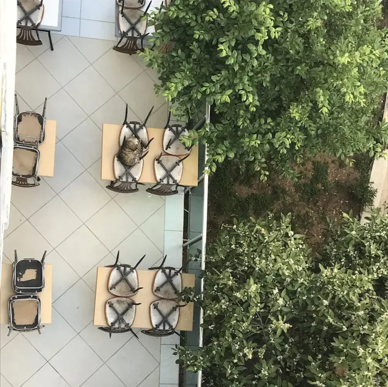 Hotel photo 25