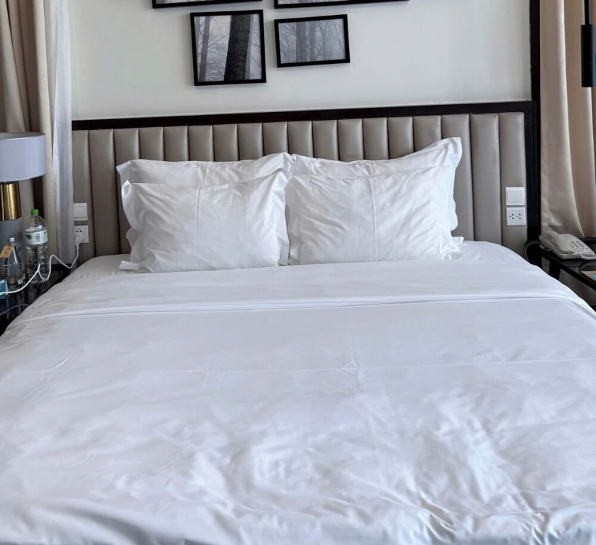 apartmentpicture