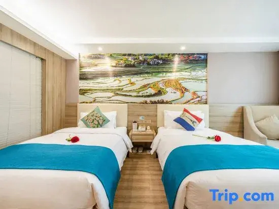 Standard Double room with city view (twin beds)