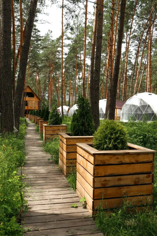 Роял Форест - фото 18